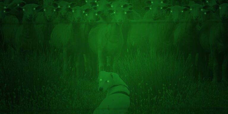 Aplicativo de visão noturna - Veja como baixar no celular