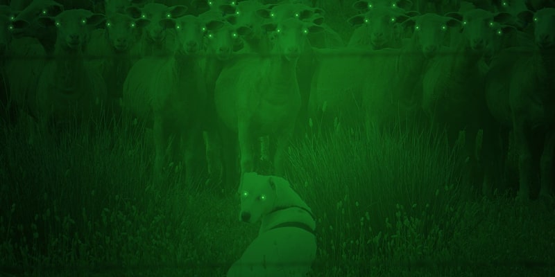 Aplicativo de visão noturna - Veja como baixar no celular